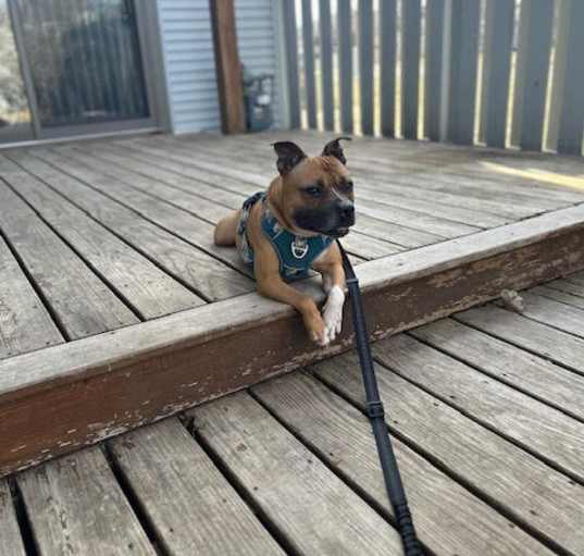 Photo of Jack Jack