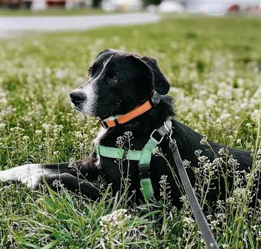Photo of Jacob