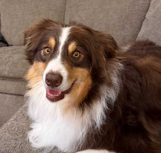 Photo of Jinx
