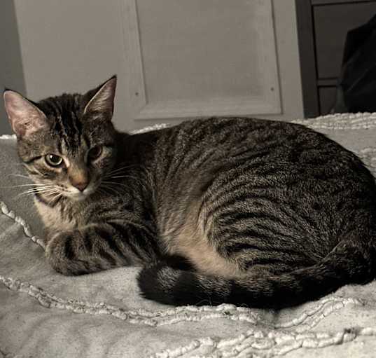 Photo of Revina