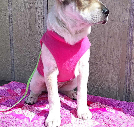 Photo of EMMIE