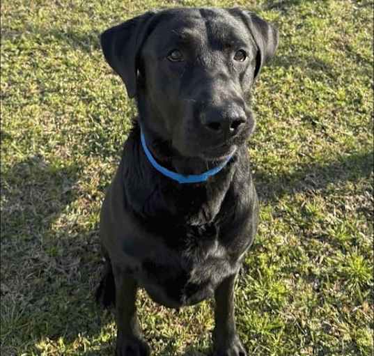 Photo of Duke