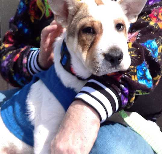 Photo of BENTLEY