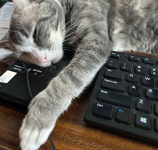 Photo of Eloise