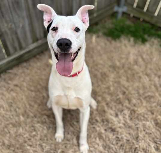 Photo of Spotty