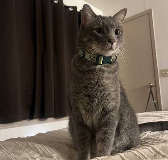 Photo of Finnegan