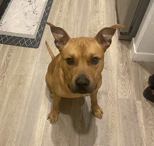 Photo of Reese