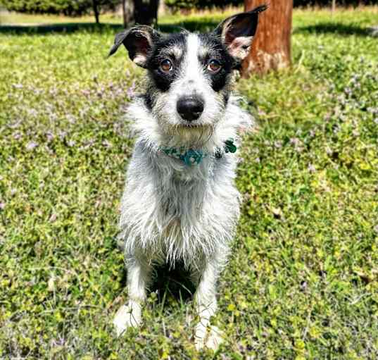 Photo of Freya