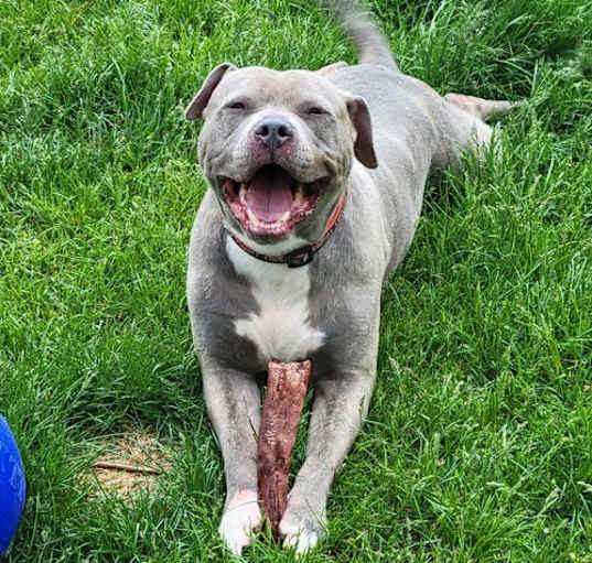 Photo of Meatball
