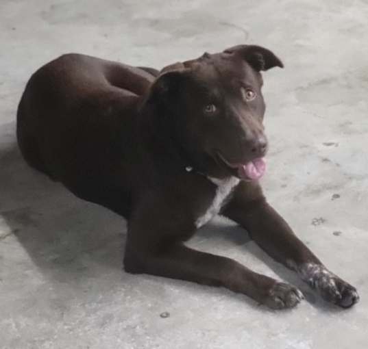 Photo of Roxy