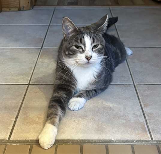 Photo of Earl Grey