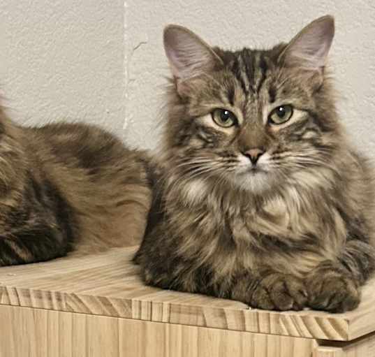 Photo of Olive & Ivy