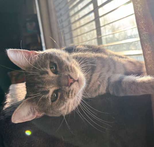 Photo of Day Lilly