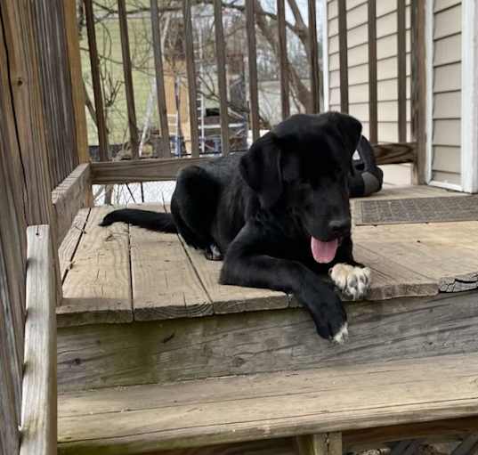Photo of Winston