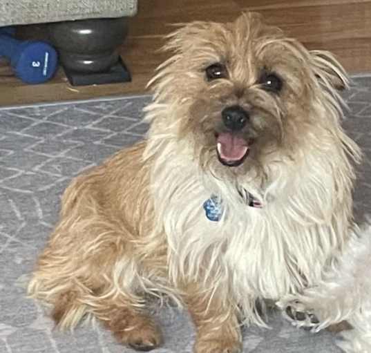 Photo of Tracy