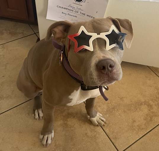 Photo of Luna