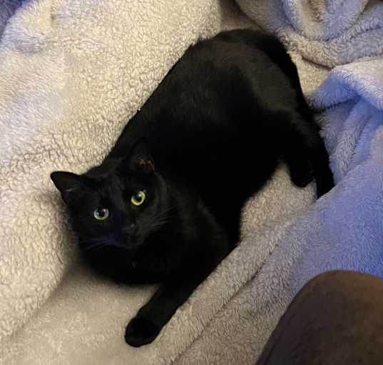 Photo of Miss Lady