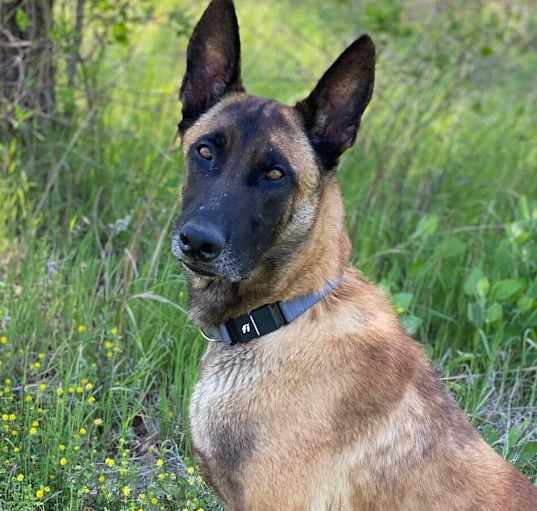 Photo of Tank - Located in TX