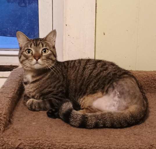 Photo of Clyde - tripod