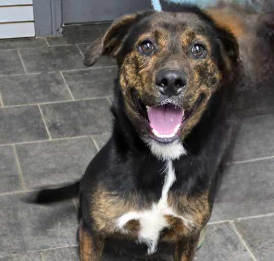 Photo of Daisy