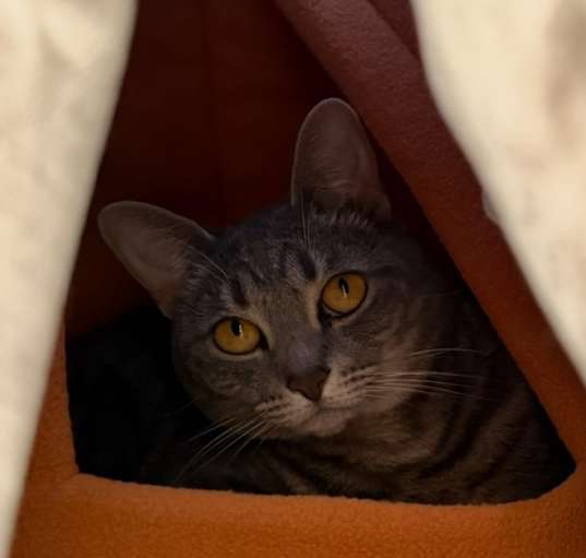 Photo of Astrid