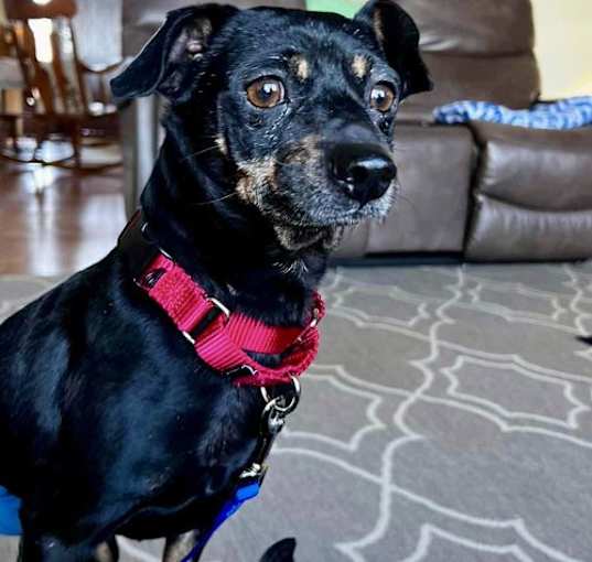 Photo of Bentley