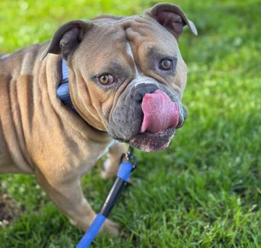 Photo of Gus