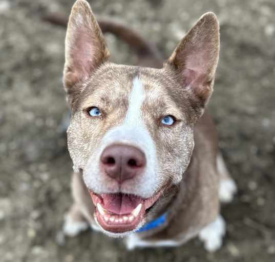 Photo of Lola