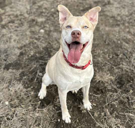 Photo of Mabel