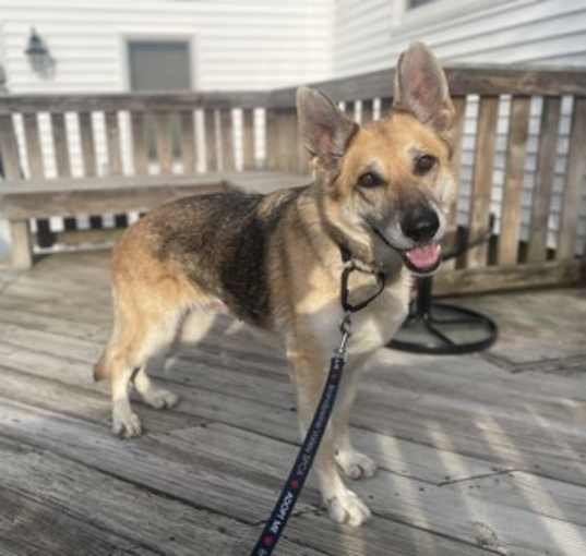 Photo of Heidi
