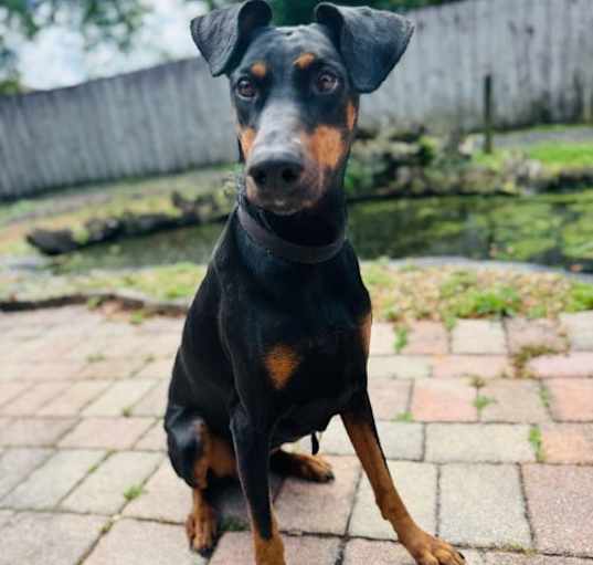 Photo of Nyla 3288