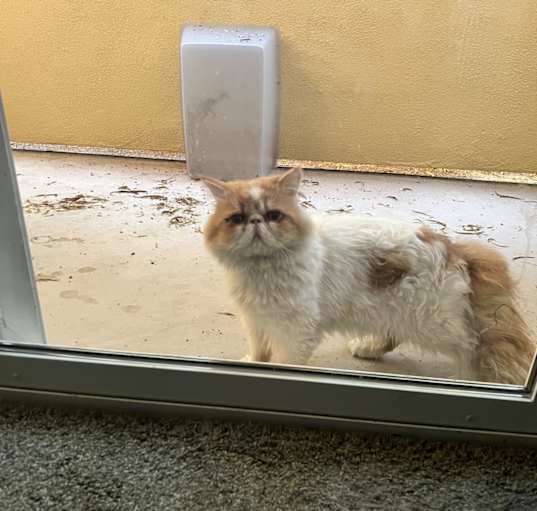 Photo of Garf