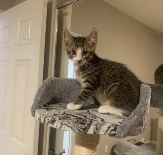 Photo of Peanut