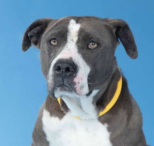 Photo of ROXY