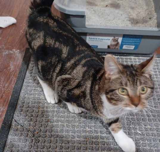 Photo of Luna