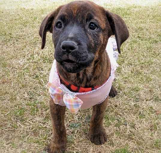 Photo of Nelly