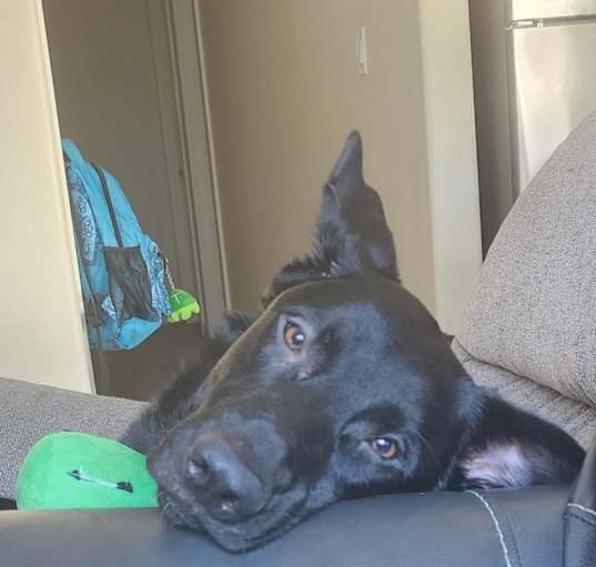 Photo of Luke