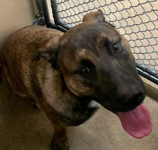 Photo of 241116K084 Axel