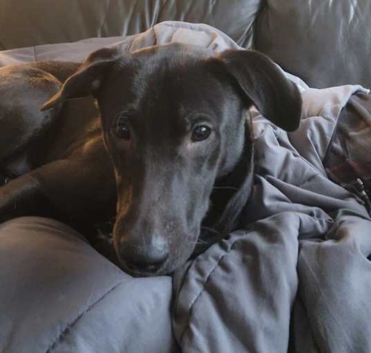 Photo of Axel