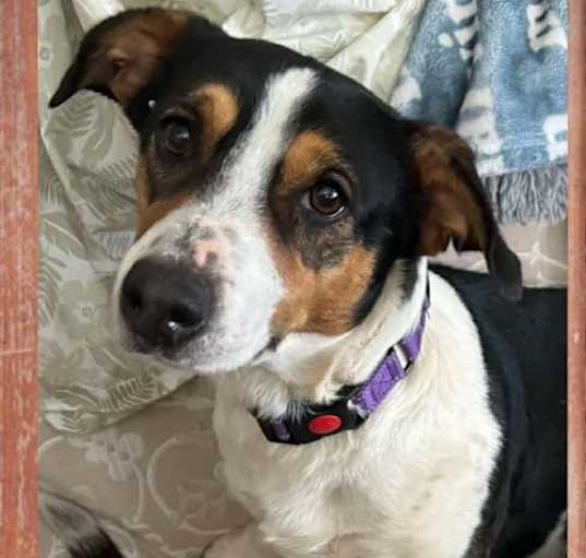 Photo of Skittles