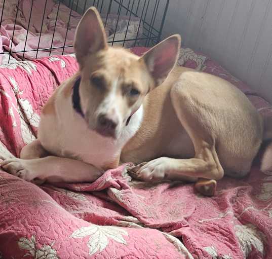 Photo of Tootsie