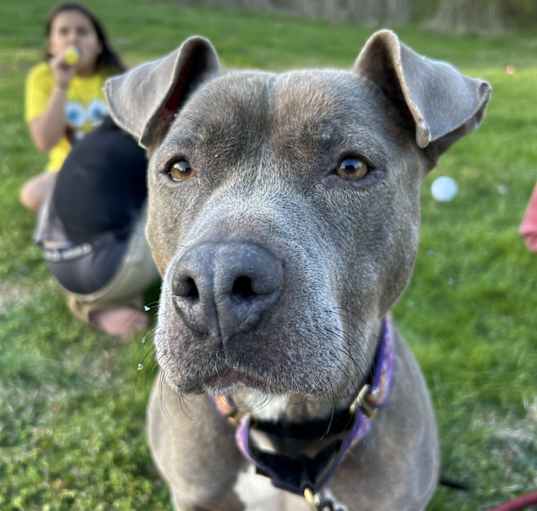 Photo of Zyi