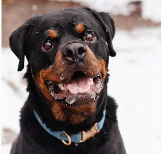 Photo of Zero
