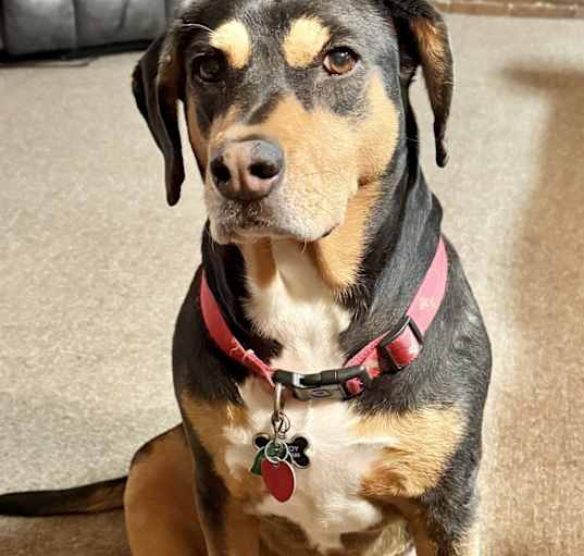 Photo of Macy