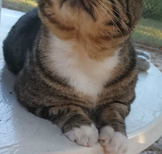 Photo of Tank