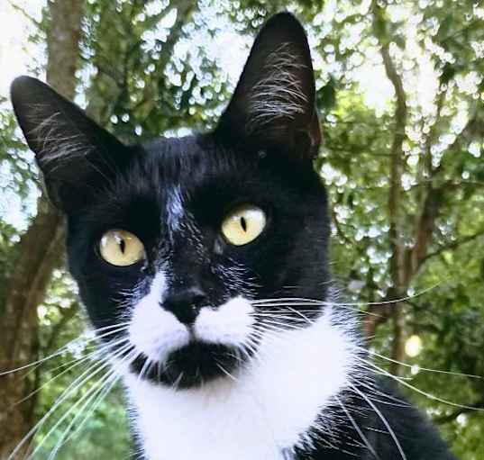 Photo of Neo
