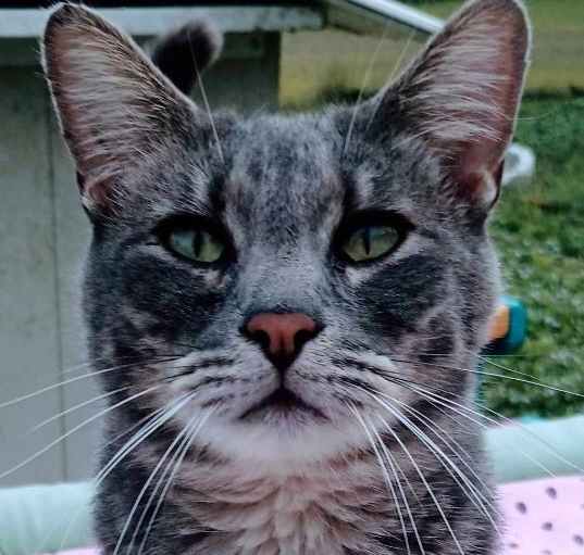 Photo of Shylo