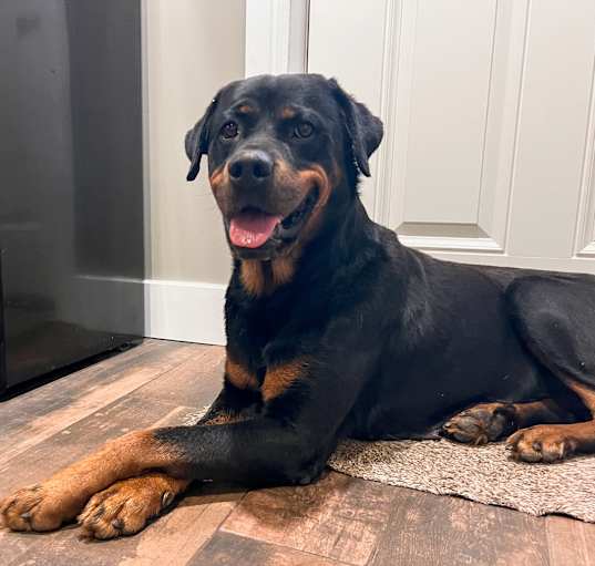 Photo of Charlie