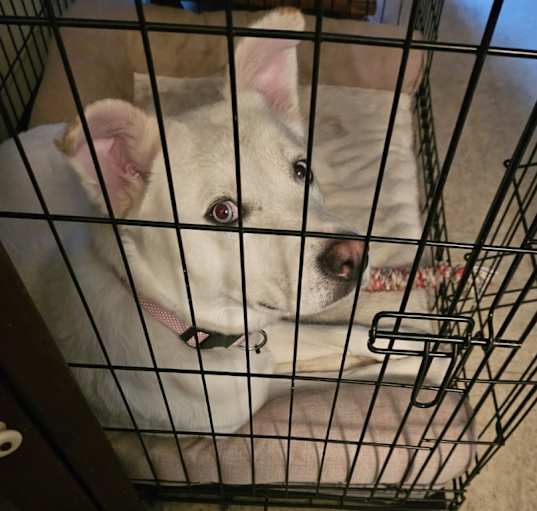 Photo of Cloe