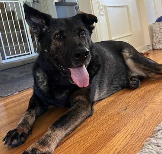 Photo of Luna